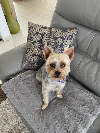 L EDEN DU CHIEN, Toiletteur pour Animaux aux Sables-d'Olonne