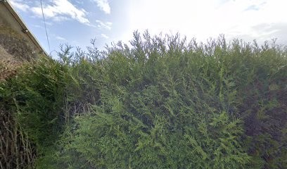 Toutou-Net, Toiletteur pour Animaux à Quettreville-sur-Sienne