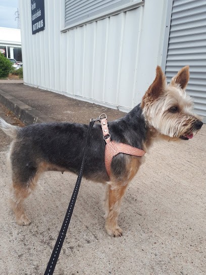Toilettage Médor & Cie, Toiletteur pour Animaux au Coteau