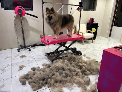 Les Pattounes De Rose/Toilettage Canin Toiletteur Pour Animaux à Civrieux-d'Azergues