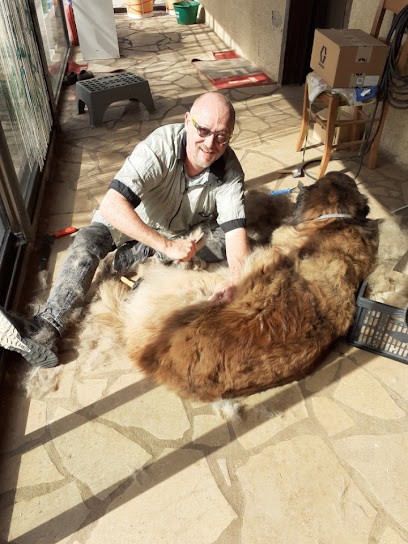 Richard le Toiletteur - L'Art des Chiens, Toiletteur pour Animaux à Mably