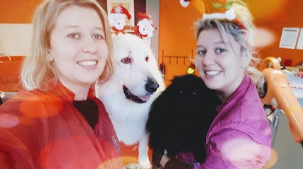 Toutous d'enfer, Toiletteur pour Animaux à Pornichet