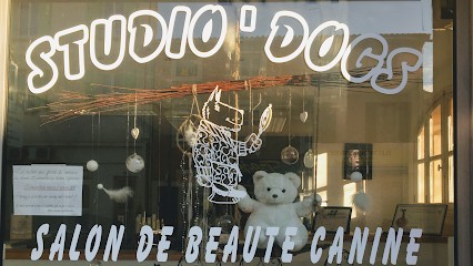 Studio Dogs, Toiletteur pour Animaux à La Farlède