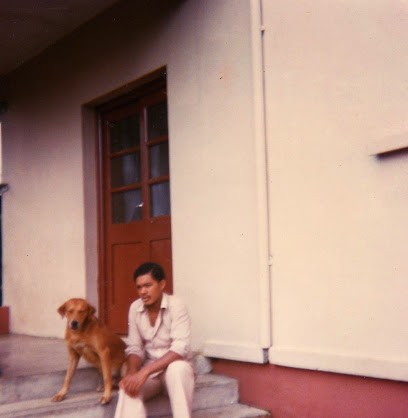 À Plumes Et à Poils, Toiletteur pour Animaux à Paris 08