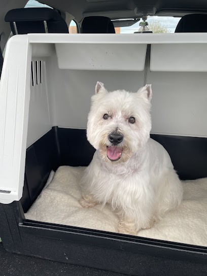 Debrabant Michelle, Toiletteur pour Animaux à Saint-Prix