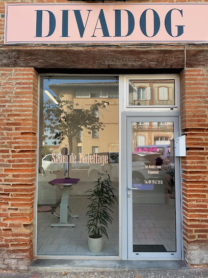 Divadog Toiletteur Pour Animaux à Moissac