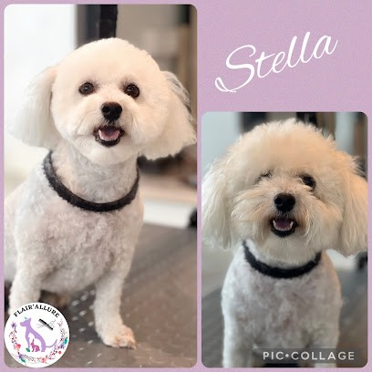 Flair’allure, Toiletteur pour Animaux à Weinbourg