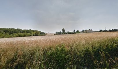 Pil'poil, Toiletteur pour Animaux à Vallègue