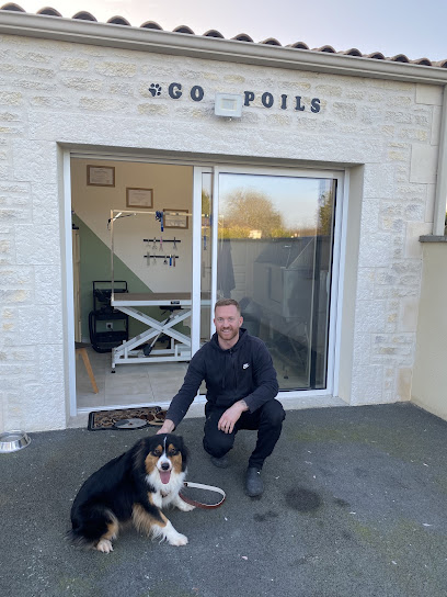 Go Poils, Toiletteur Pour Animaux à Colombiers