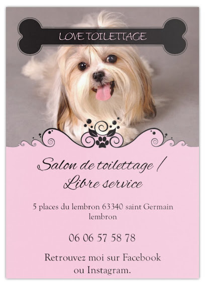 Love Toilettage Toiletteur Pour Animaux à Saint-Germain-Lembron