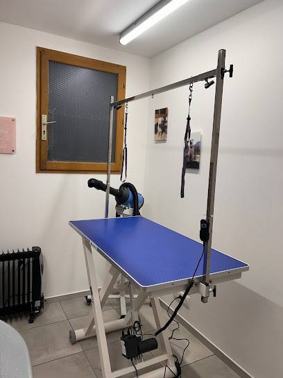 Le Salon De Perle, Toiletteur Pour Animaux à la Fare-en-Champsaur