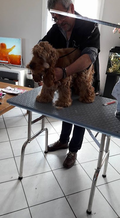 Jean Marc PEREZ / Toiletteur à Domicile, Toiletteur pour Animaux à Brioude