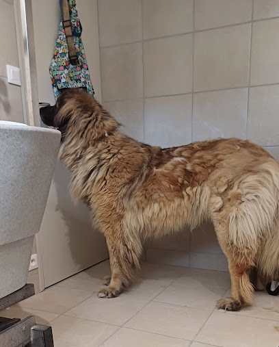 Coco'on Toilettage Toiletteur Pour Animaux à Clamecy