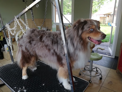 Fluffy & Co - Toilettage, Toiletteur Pour Animaux à Quarouble