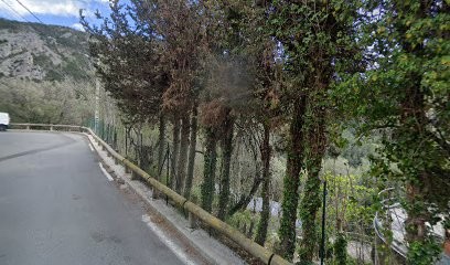 Toutou Plein Air, Toiletteur pour Animaux à Peille