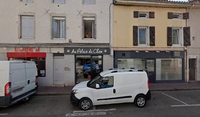 Marguin Bazonnard Sonia Emmanuelle, Toiletteur pour Animaux à Bourg-en-Bresse