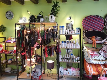 O'bien-être Animal, Toiletteur pour Animaux à La Ferté-Alais