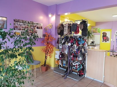 AMOUR CANIN, Toiletteur pour Animaux à Saint-Jean-de-Monts