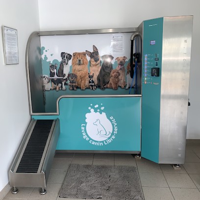 Dogwash Songeons, Toiletteur pour Animaux à Songeons