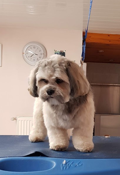 La Niche Dorée, Toiletteur pour Animaux à Scharrachbergheim-Irmstett