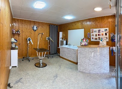 Dog's Toilettage, Toiletteur pour Animaux à Créon