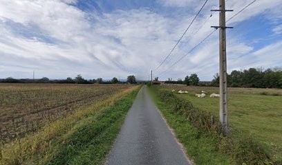 ESPRIT ANIMAL, Toiletteur pour Animaux à Mizérieux