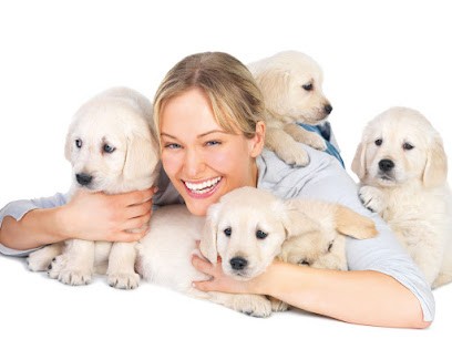 Toilettage TIKITA Chiens Chats Lille Marcq, Toiletteur pour Animaux à Marcq-en-Baroeul