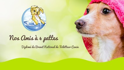 Nos amis à 4 pattes, Toiletteur pour Animaux à Soultz-Haut-Rhin