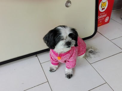 Dolly Coup, Toiletteur pour Animaux à Séris