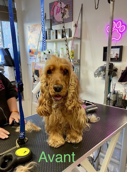Amour de Chien, Toiletteur pour Animaux à Paimpol