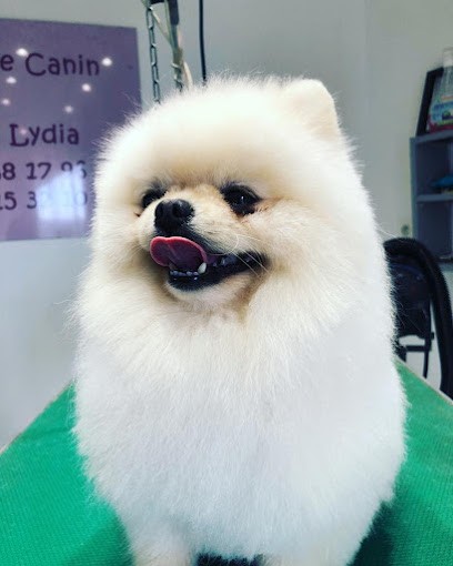 TOILETTAGE CANIN LYDIA, Toiletteur pour Animaux à Mauguio