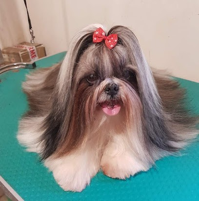 A La Coupe Pil'Poil, Toiletteur pour Animaux à Saint-Justin