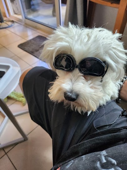 Atout Poils, Toiletteur pour Animaux au Barcarès