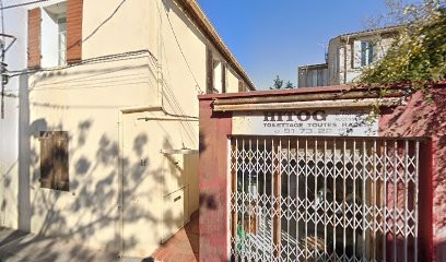 Toilettage Hitog, Toiletteur pour Animaux à Marseille 08