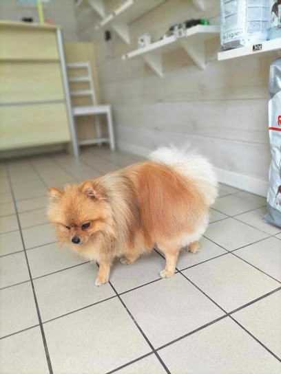 Flash Dog, Toiletteur pour Animaux à Les Herbiers