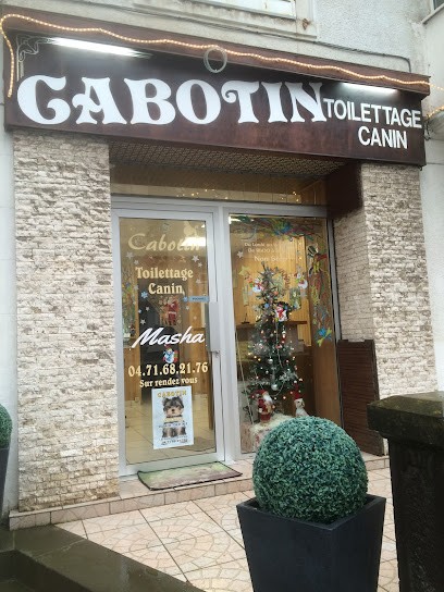 Cabotin, Toiletteur pour Animaux à Mauriac
