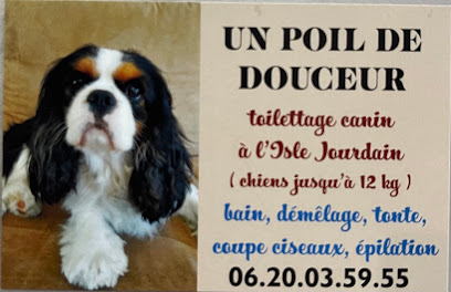 Un Poil De Douceur Toiletteur Pour Animaux à l' Isle-Jourdain