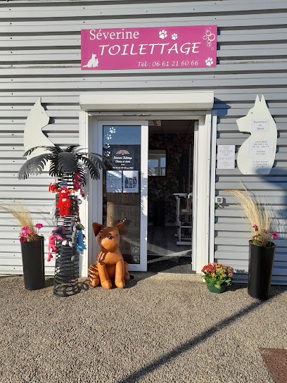 Séverine Toilettage, Toiletteur pour Animaux à Saint-Amant-de-Boixe
