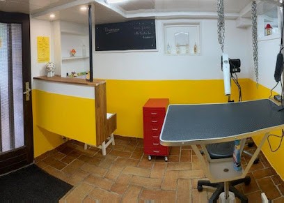 Coussi'net Toilettage, Toiletteur pour Animaux à Saint-Marcel