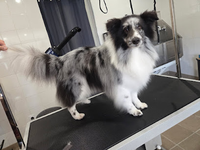 Métamorphose - Salon De Toilettage, Toiletteur Pour Animaux à Fons