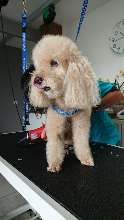 Salon Ericka, Toiletteur pour Animaux à Videix