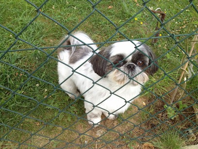 Au Bonheur Des Chiens, Toiletteur pour Animaux au Val d'Hazey