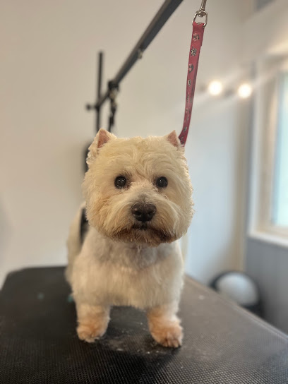 Pet Grooming, Toiletteur Pour Animaux à Rang-du-Fliers
