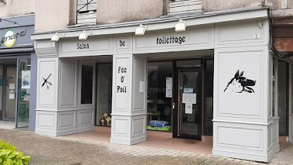 Salon de toilettage Fée o'poil, Toiletteur pour Animaux à La Guerche-de-Bretagne