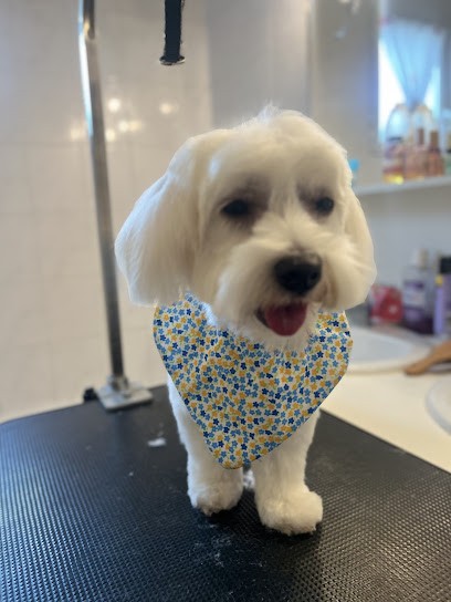 Les Animaux D'Ana, Toiletteur pour Animaux au Haillan