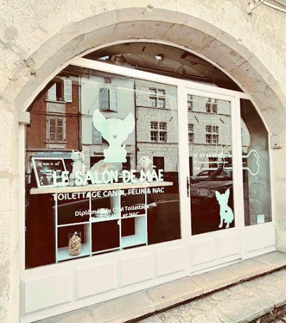 Le Salon De Mãe Toiletteur Pour Animaux à Belley