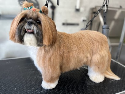 Toilettage Et Bien Etre, Toiletteur pour Animaux à Saint-Laurent-de-la-Salanque