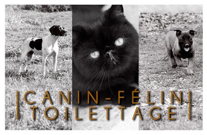 Canin-felin toilettage, Toiletteur pour Animaux à Privas