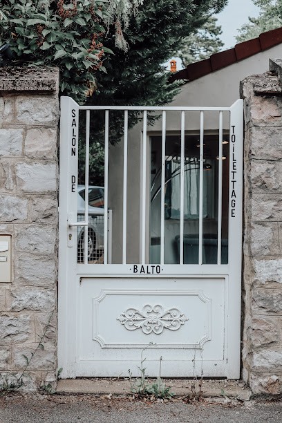 Salon De Toilettage Canin BALTO, Toiletteur pour Animaux à Nuits-Saint-Georges
