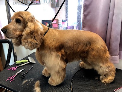 Toilettage Chez Pompon, Toiletteur pour Animaux à Ville-d'Avray